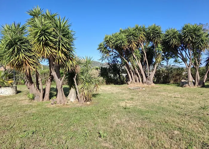 Neuf Ensoleille A Saint-florent Avec Piscine Saint-Florent (Corsica)